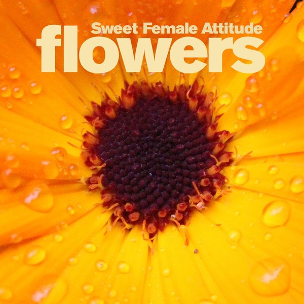 Sweet Female Attitude – Flowers (Sam Divine & Curtis Gabriel Remix)
