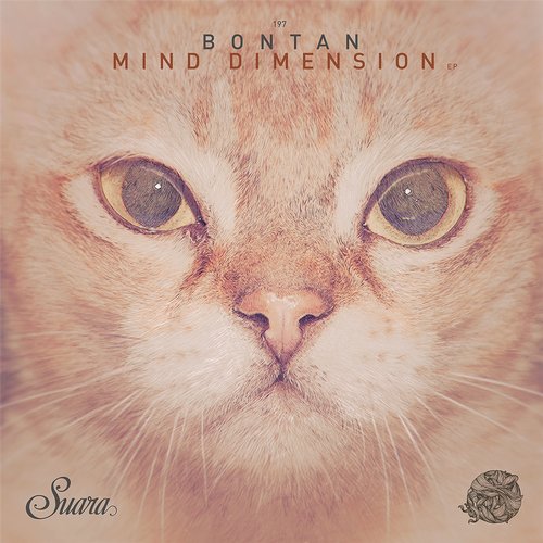 Bontan – Mind Dimension EP
